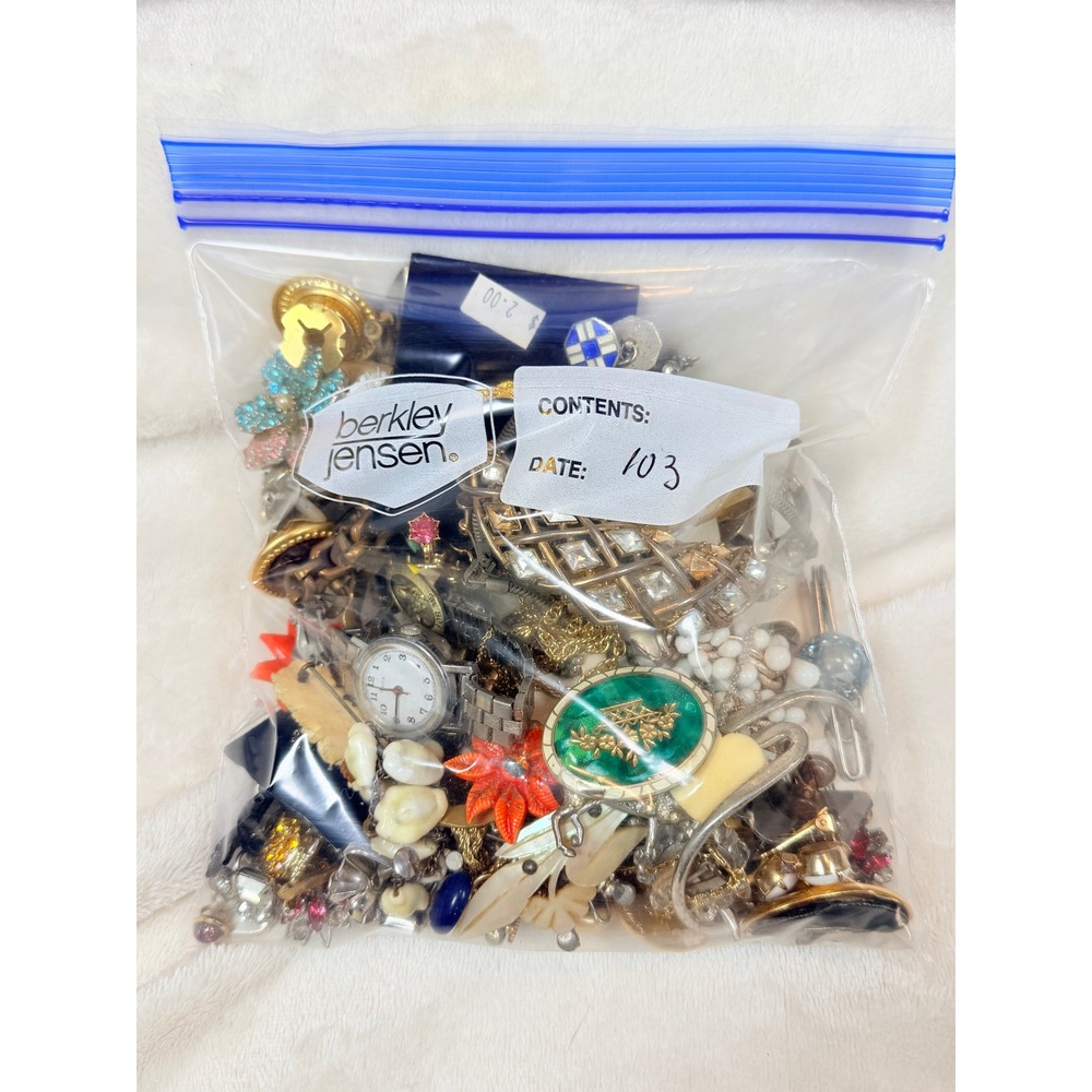 Vintage Jewelry Lot Mid Century Watches Brooches Pins Stones Gems MCM Estate